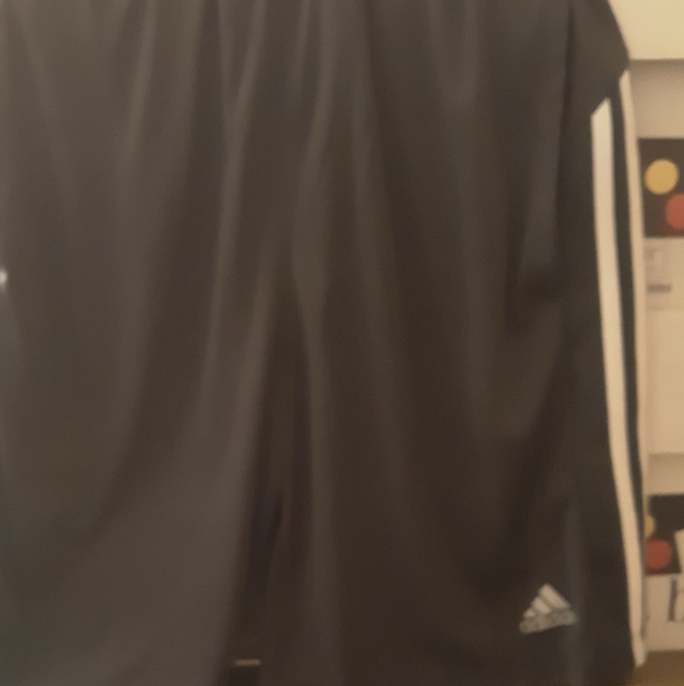 Men Adidas shorts